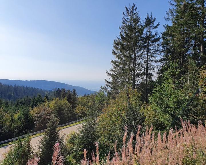 Hochkopf-Stub